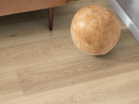 Ламинат Egger PRO2021 Comfort Large фаска 10/32 (EPC040) Дуб Аритао