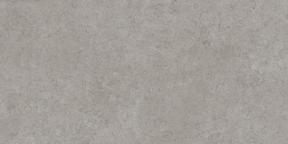 Керама Марацци / Kerama Marazzi DD590620R ПРО ЛАЙМСТОУН АТ серый натуральный обрезной 119,5x238,5
