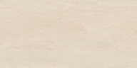 Керамогранит Аметис Экзотика Стоун / Ametis Exotica Stone EXS302 ректиф 60x120