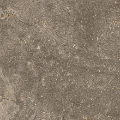 Керамогранит Колизеум ЧЕРВИНИЯ ЗЕМЛЯ 45x45