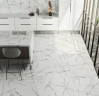 Италон Шарм Делюкс Инвизибл Уайт Ступень Угловая / Italon Charme Deluxe Invisible White Scale Angle 33x80