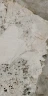 Керама Марацци / Kerama Marazzi SG50005922R ОНИЧЕ лаппатированный обрезной 60x119,5