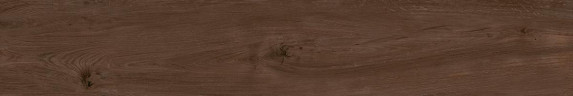 Керамогранит Kerama Marazzi САЛЬВЕТТИ SG515300R вишня 20x119,5