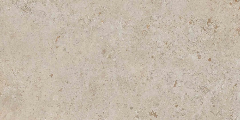 Керамогранит Керама Марацци / Kerama Marazzi DD506520R ПРО ЛАЙМСТОУН бежевый темный обрезной 60x119,5
