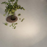 Керамогранит Керама Марацци Kerama Marazzi ПРО ЧЕМЕНТО DD641720R\6BT ПЛИНТУС бежевый матовый 9,5x60