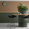 Плитка EQUIPE COSTA NOVA PRAIA Laurel Green Glossy 5x20