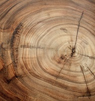 Плитка под ДЕРЕВО